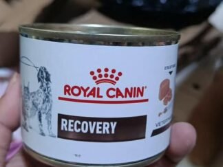 Royal Canin Recovery 195g