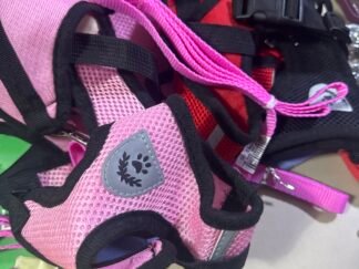 Pet Leash with Cloth Harness
