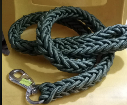 Dog Leash Heavy Duty for Bully