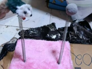 Pet Kingdom Cat Toy Sucker Spring Cat - s